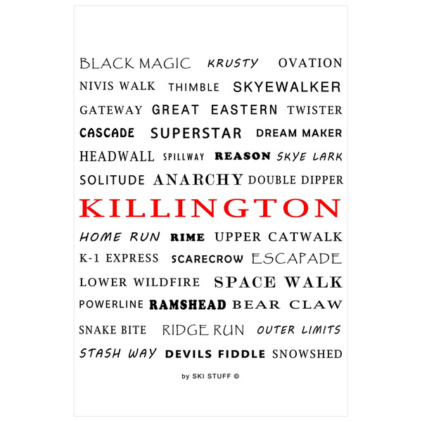Killington Ski Trails White - Poster