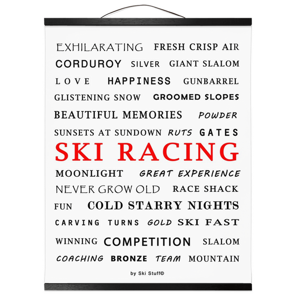 Hanging Canvas Print - Ski Racing