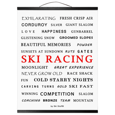 Hanging Canvas Print - Ski Racing