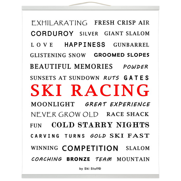 Hanging Canvas Print - Ski Racing