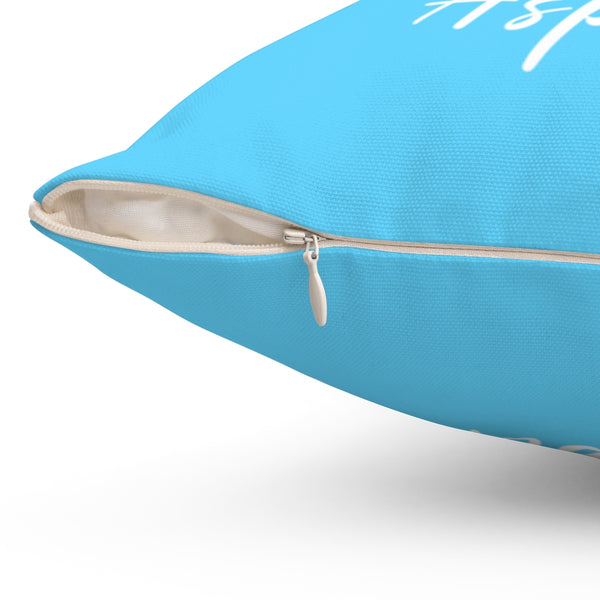 I skied Aspen - Pillow